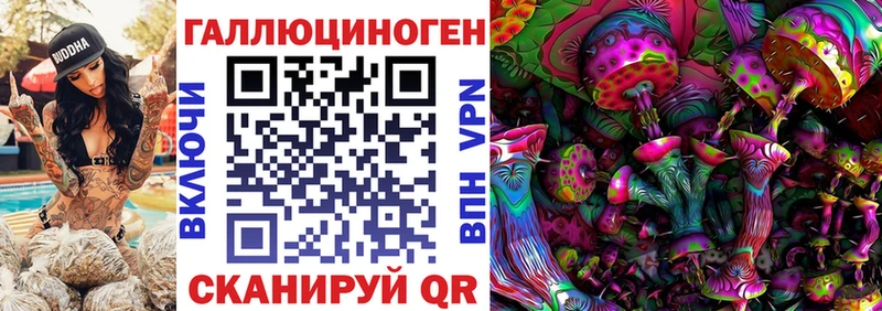 Купить где  Асбест  Псилоцибиновые грибы мицелий 